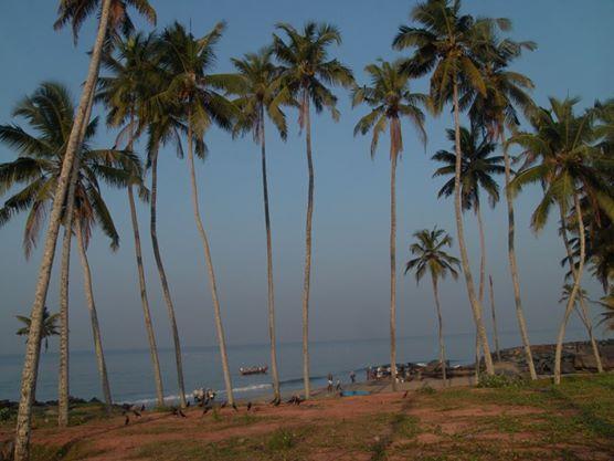 Oceanic Beach Residency Varkala Bagian luar foto